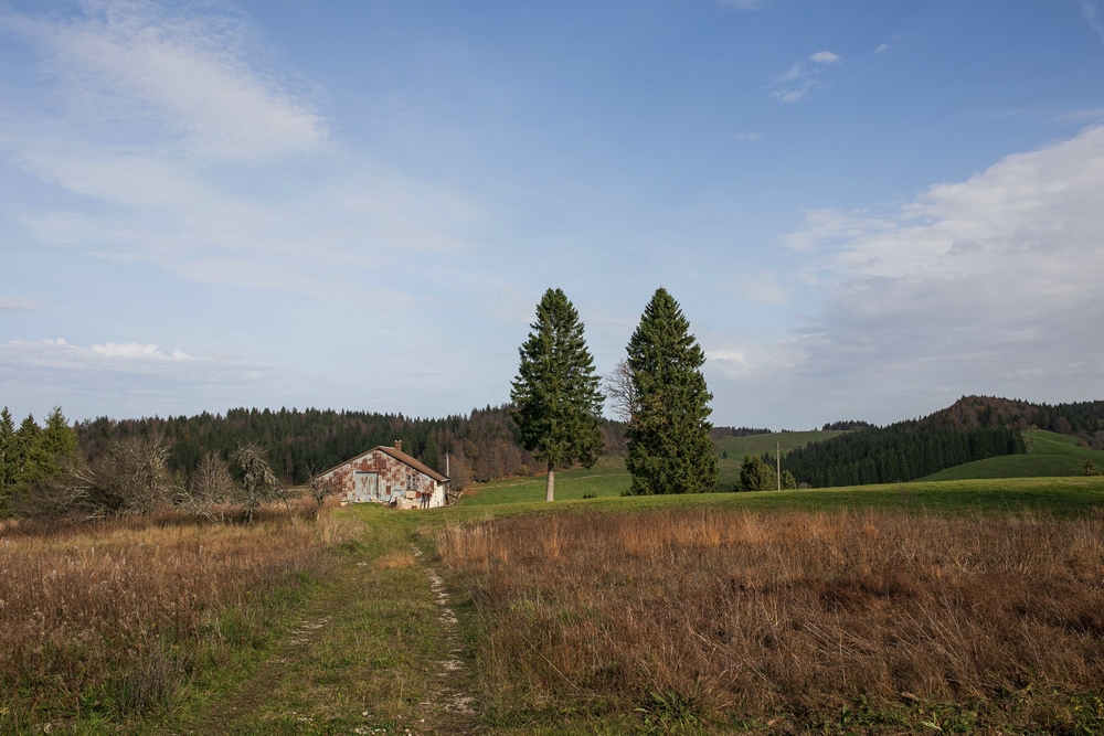 2G6A4859.jpg