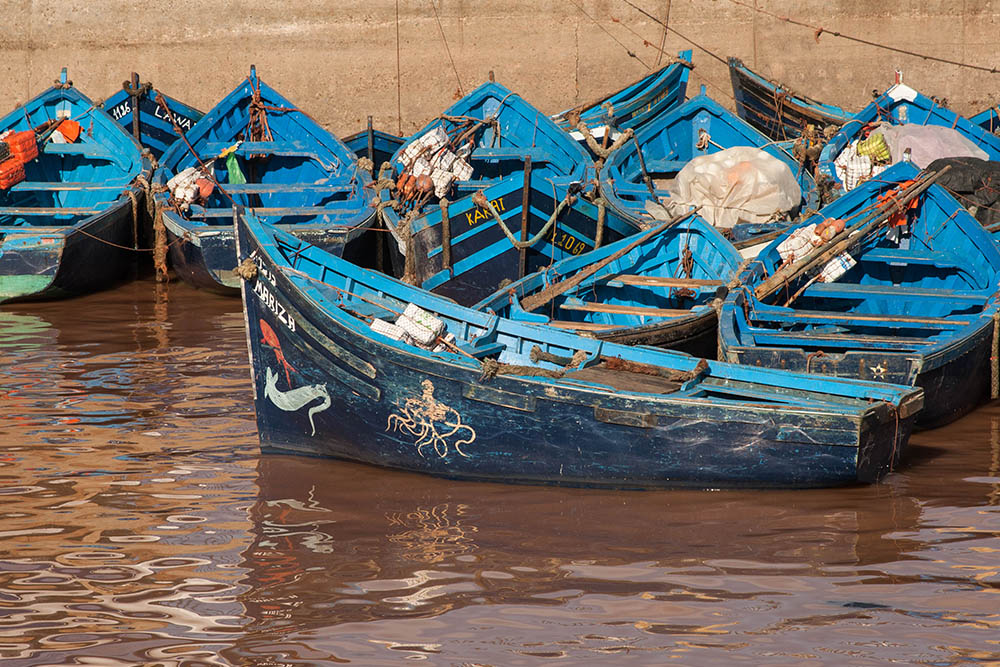 407525806_Maroc19.jpg.246645b58303c62517366280eed7a454.jpg