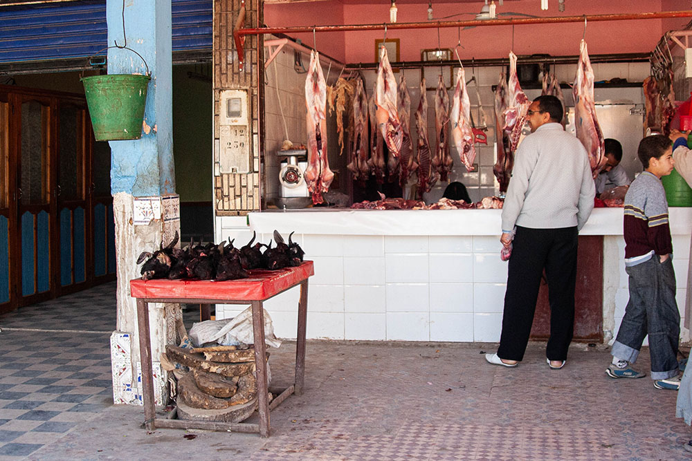 414324067_Maroc094.jpg.4d593003c42cccd6bd7c7f597584b6d6.jpg