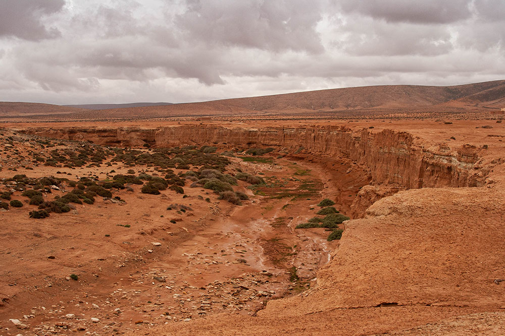 610521068_Maroc092.jpg.7e6c2054fc2d7d47308eea5283b0dba1.jpg