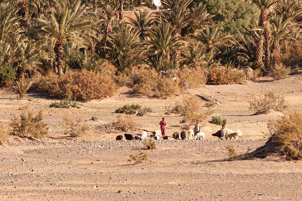 794431866_Maroc060.jpg.e311023a4b6e2b54a01d4b89e720fd72.jpg