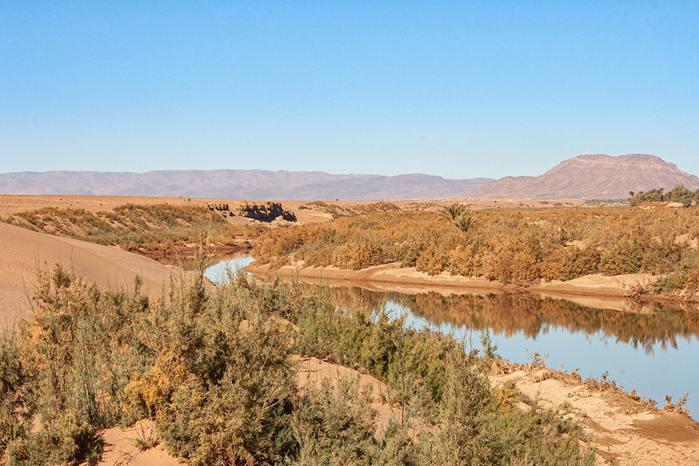 815197732_Maroc061.jpg.c154d5b2d90ffca8190e446b896f7518.jpg