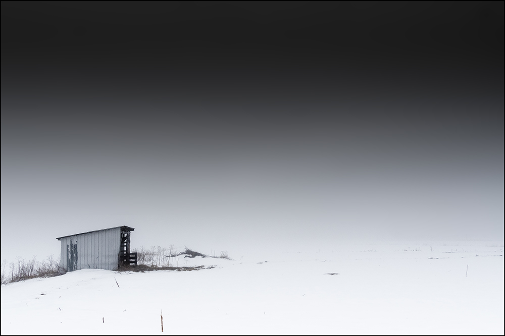 DSD00328pweb.jpg.8e34d51b5afb1ec7db8c1ed69023ea0e.jpg