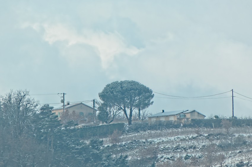 P1000072-RW2_PureRaw_ON1.jpg