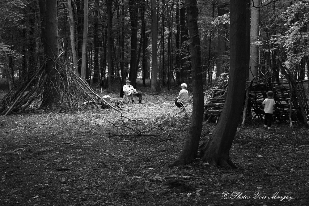 _MG_0257.JPG.6474763b58518e40818cdcecd47945a1.jpg