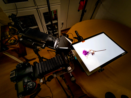 setup-macro-5-oct-2022.jpg.0923b8ab2e0bd6dc6c6707825457d0cb.jpg