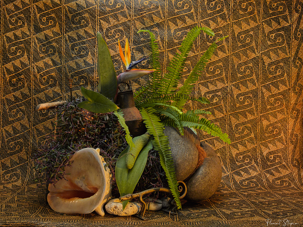 2110119931_Tropicalisme6fev2023.jpg.60a2c1e6a329871e45b5e1fadbd0d5c4.jpg