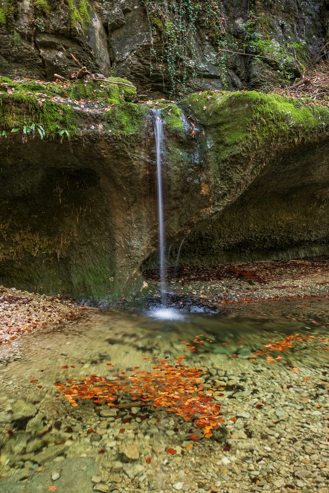 2G6A4939.jpg