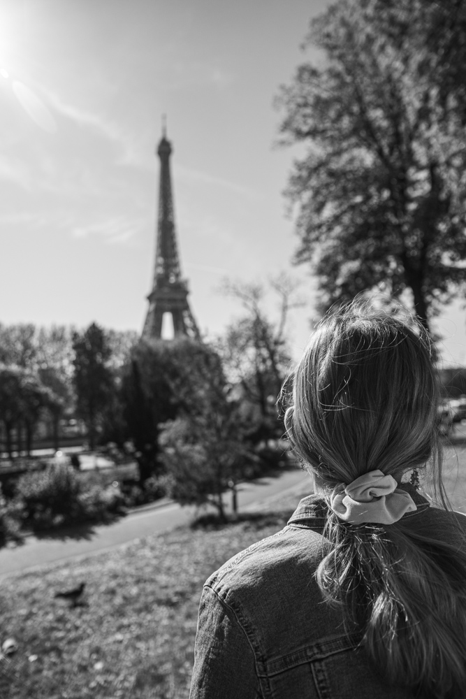 eifel-2.jpg.bd311b40bbfcc26ca2304af21fb25cb5.jpg
