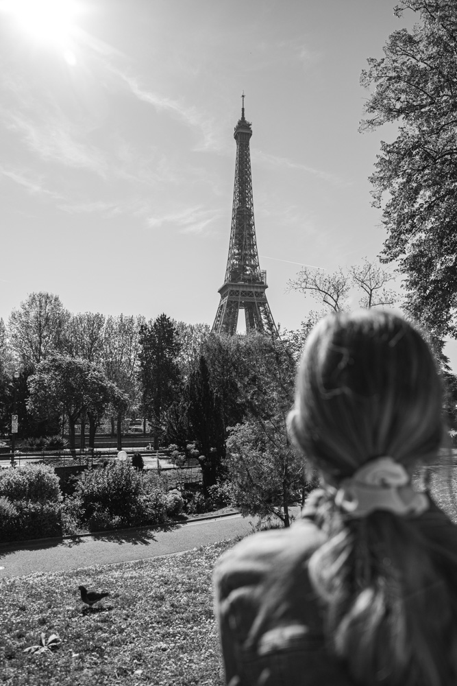 eifel-3.jpg.102f69bace35ef0972e2619d591a90dc.jpg