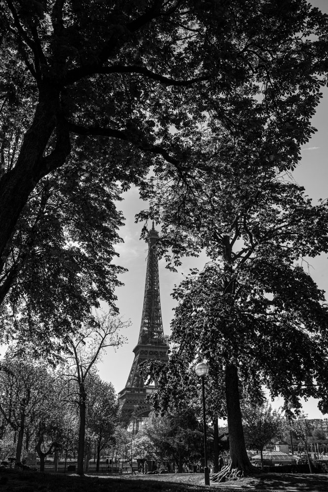 eifel.jpg.61306a9da7bef64a5dfa142548f4bef6.jpg