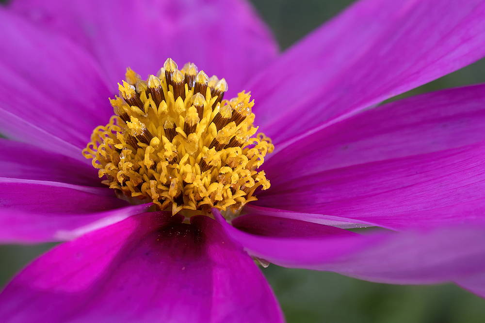 104A0422-CR3_DxO_DeepPRIME-Modifier-export-sharpen-Motion.jpg.118f3298d35572977115bcb1495d33d5.jpg