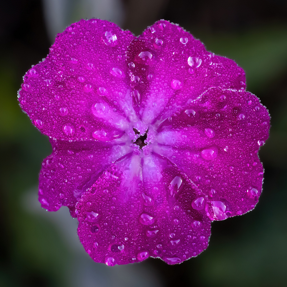 104A8498.jpg