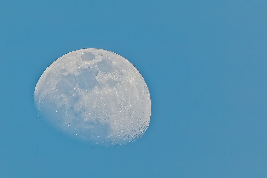 P1000237-RW2_PureRaw_ON1.jpg