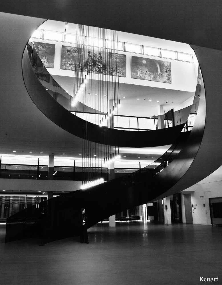 escaliereuropelux.jpg.ecec51a849e1c30a9864c0564286ad90.jpg