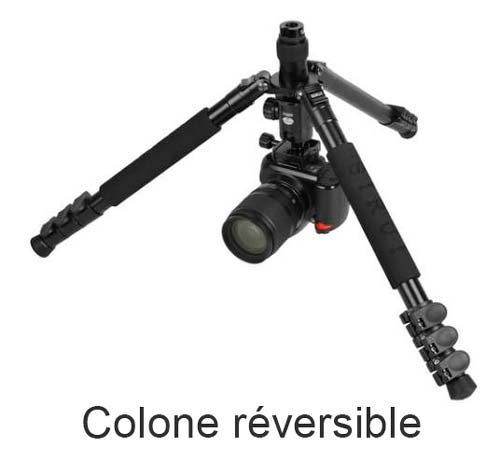 image.png.f56f8c2ce939a095a92262d25e074b05.png