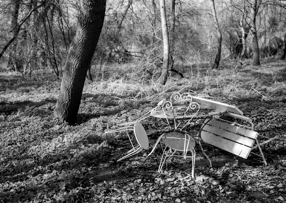 img_4002 - 5D -  Mars 23 - Moulin salon NB 1000.jpg