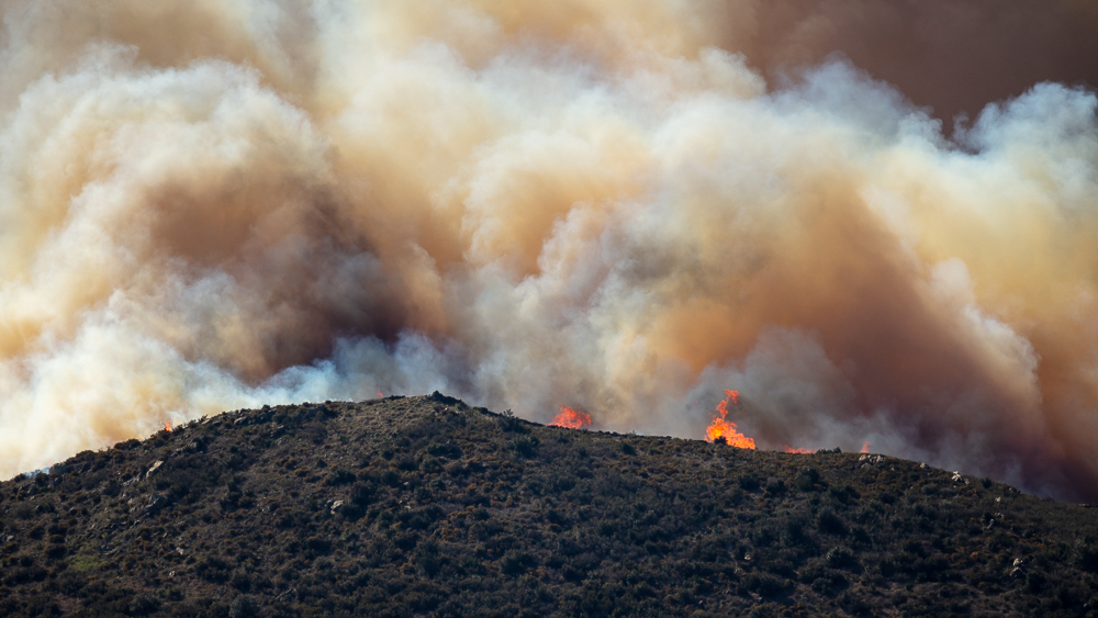 20230416-FRANCE-BANYULSSURMER-INCENDIE-9996.jpg.86ea02eb40f136c40d65916cb8b467a0.jpg