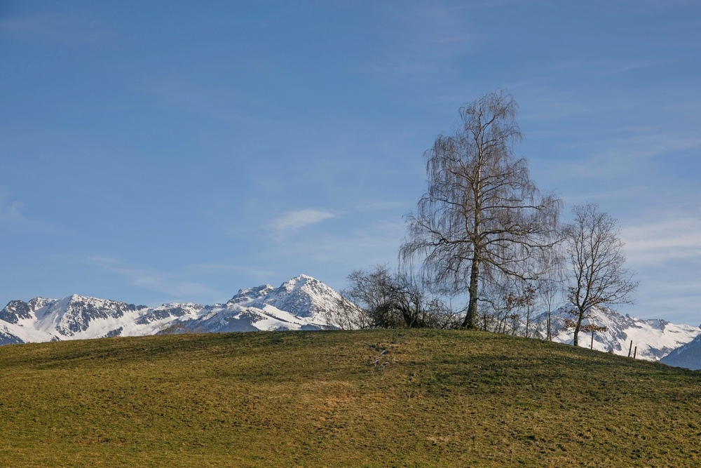 2G6A5778.jpg