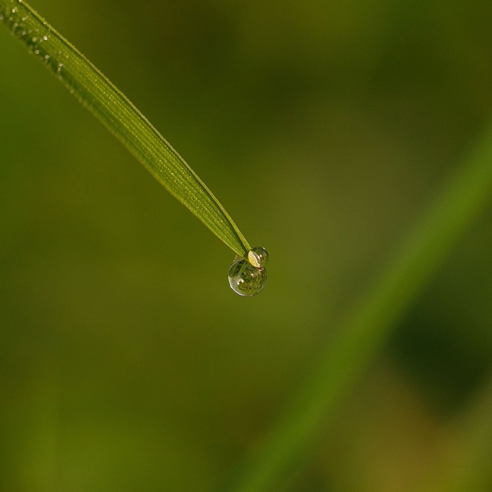 2G6A5912.jpg