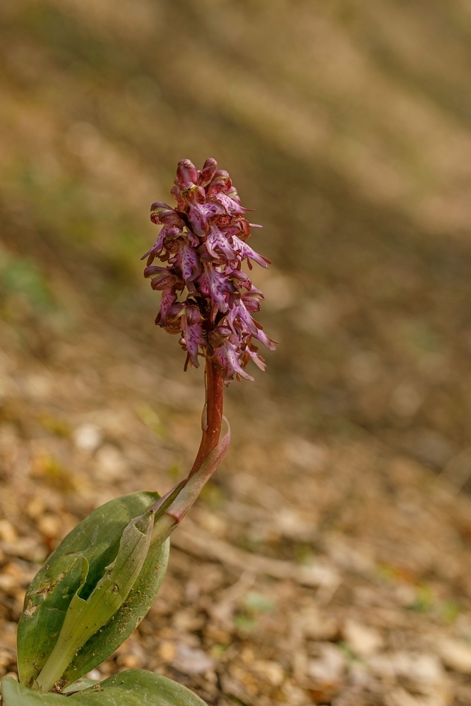 2G6A5918.jpg