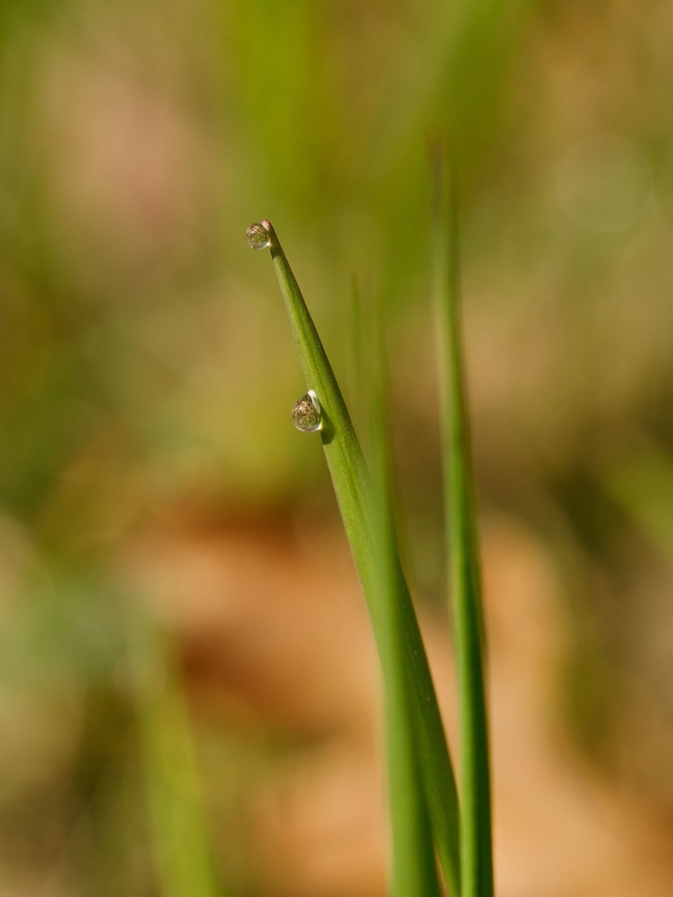 2G6A5928.jpg