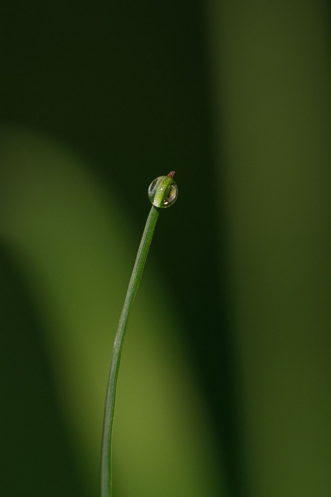 2G6A6011.jpg