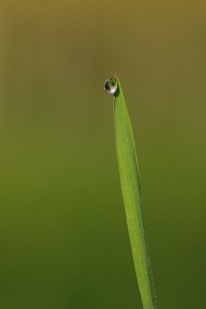 2G6A6012.jpg