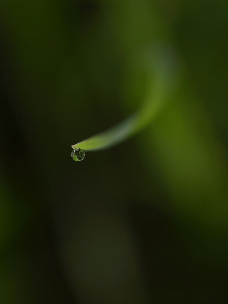 2G6A6019.JPG