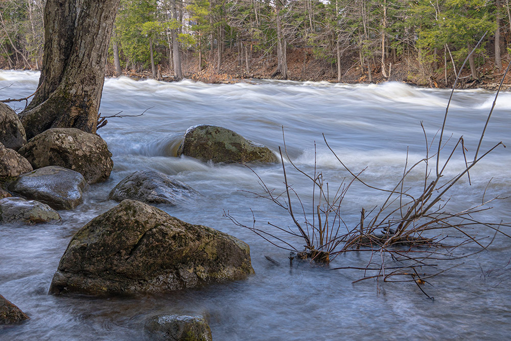 DSD00981web.jpg.b8cf0e889fe750c4dd59e5f3ba80cc6f.jpg