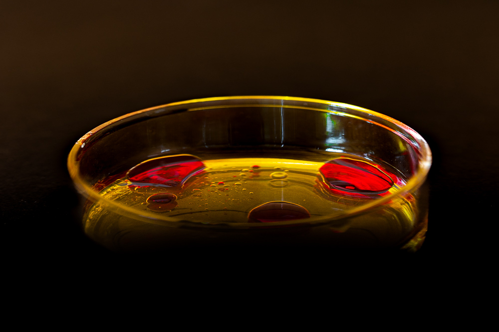 oeil-3.jpg.9030071f24998a5d969ac9d4e0f780b1.jpg