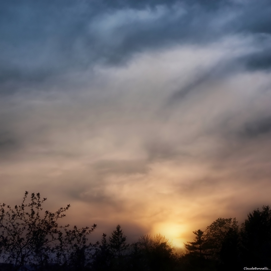 1--2949-1_filtered.jpg.861e44cc296db1ebce1eaf038b3233b7.jpg