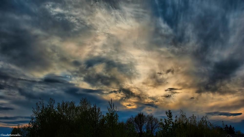 1--2988-1_filtered.jpg.db65d183dc1925f3f12e19417875f76f.jpg