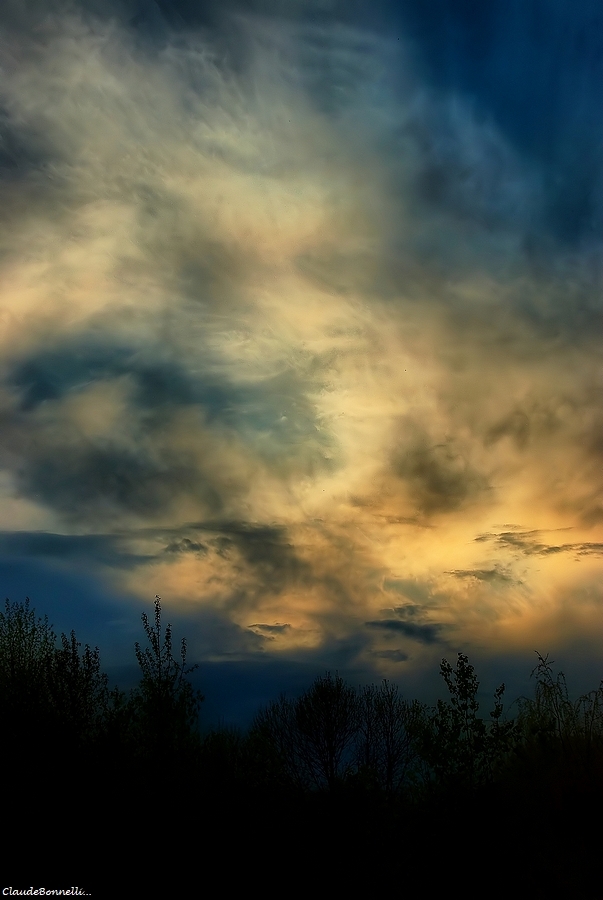 1--2990-1_filtered.jpg.2d5f1ae9609b9048a4e7ebeaaa333900.jpg