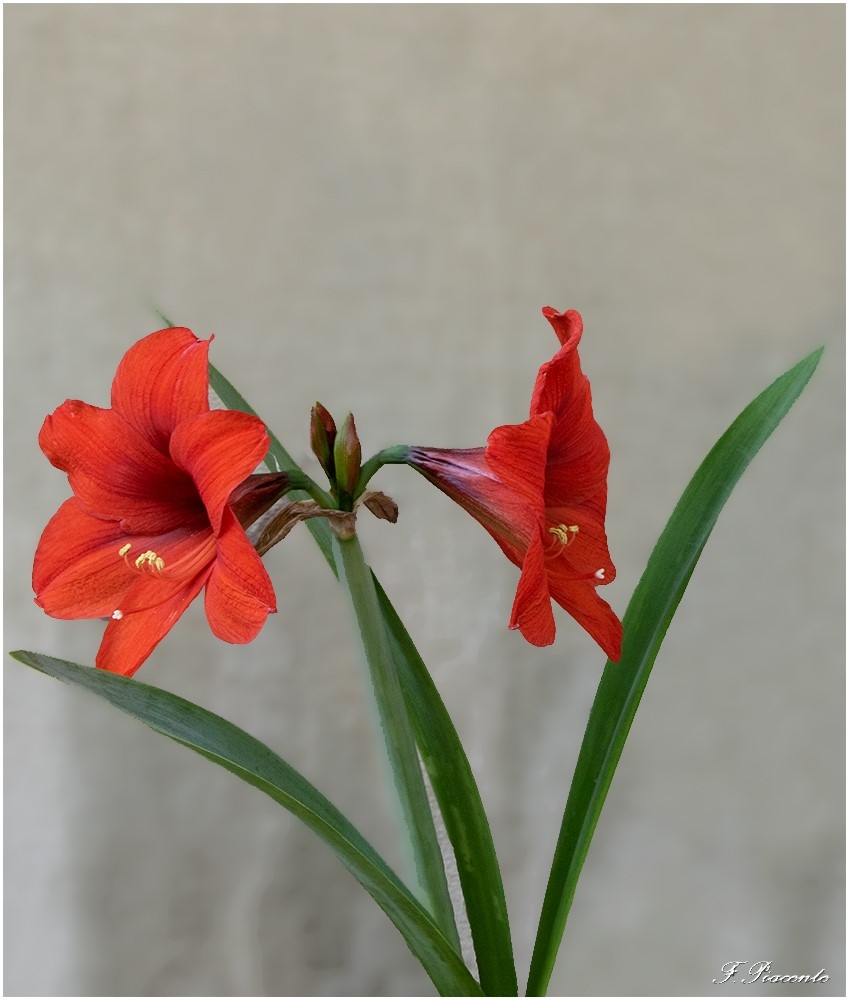 148.jpg.baade8f4035d497531d0ab40d3e80db2.jpg