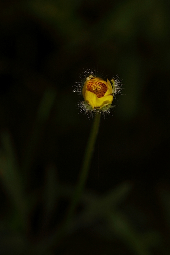 2G6A6036.jpg