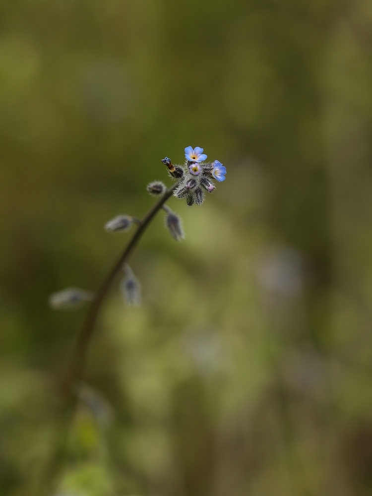 2G6A6079.JPG
