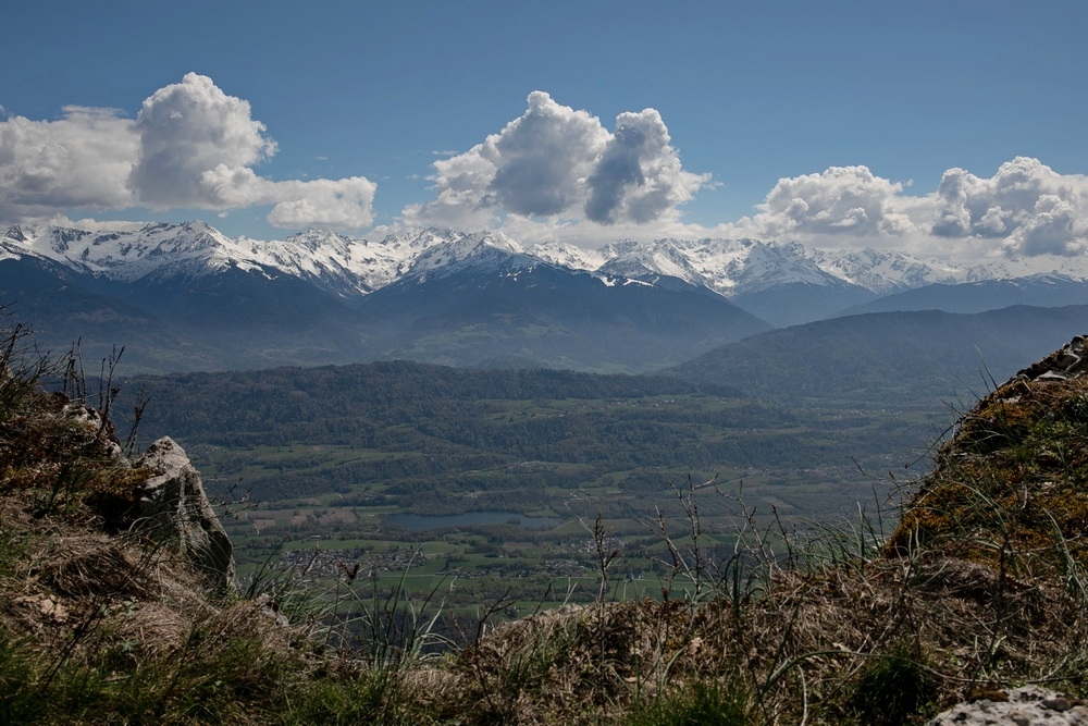 2G6A6218.jpg