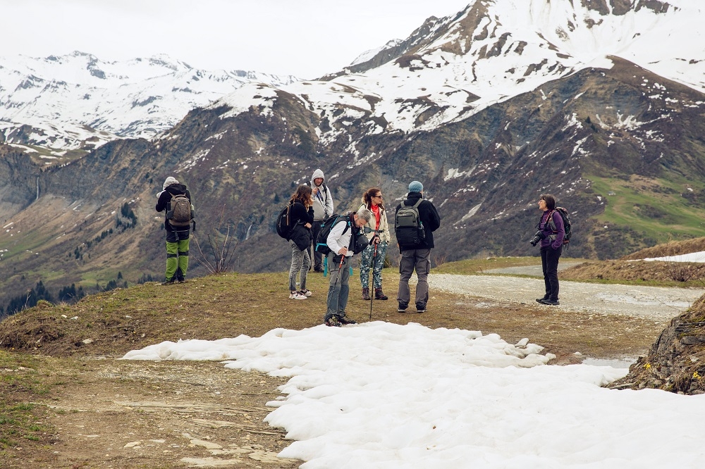 alpes 15fp.jpg