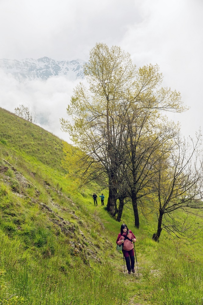 alpes 16fp.jpg