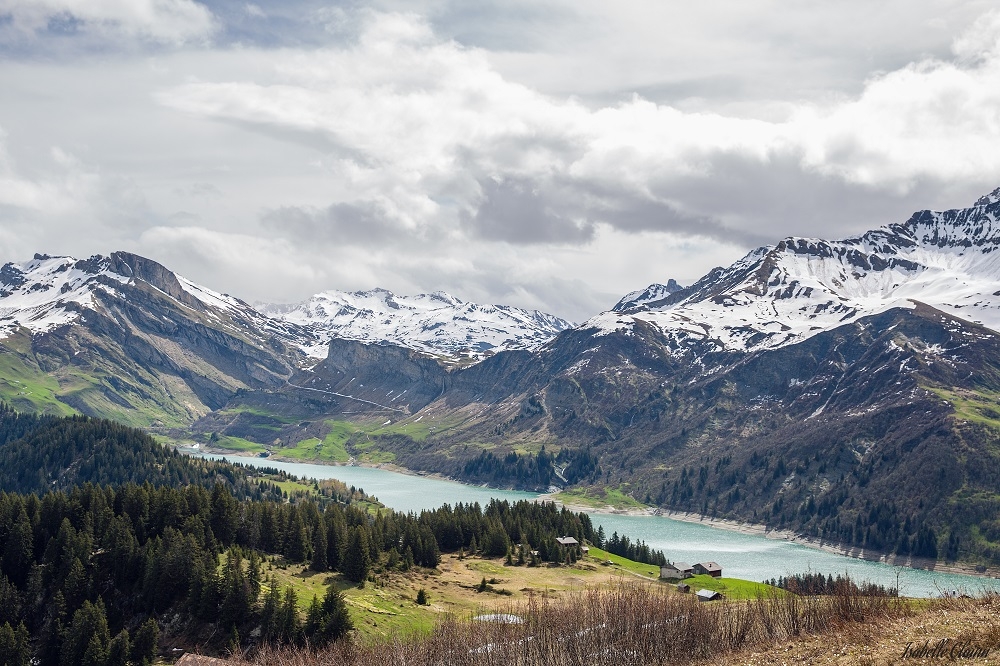 alpes 20fp.jpg