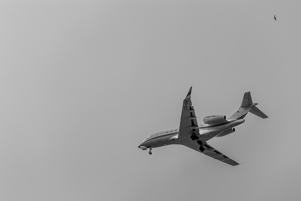 eos-2.jpg.1d5e99951632f4022bca32458a98d150.jpg