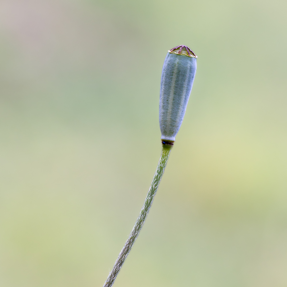 eos.jpg.4ee825d0a59b0a631a488d84c9f85a46.jpg
