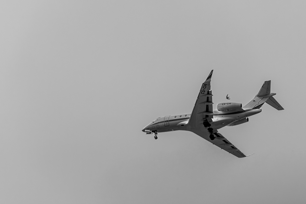 eos.jpg.ce8f8da0dc56ef646d1b52519723c5a2.jpg