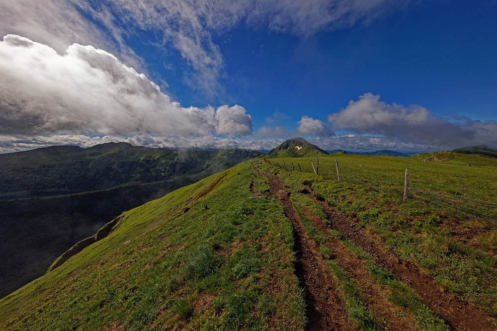 041A6962_DxO-border.jpg.a17b2a274944985d9ece6dad610dd75c.jpg