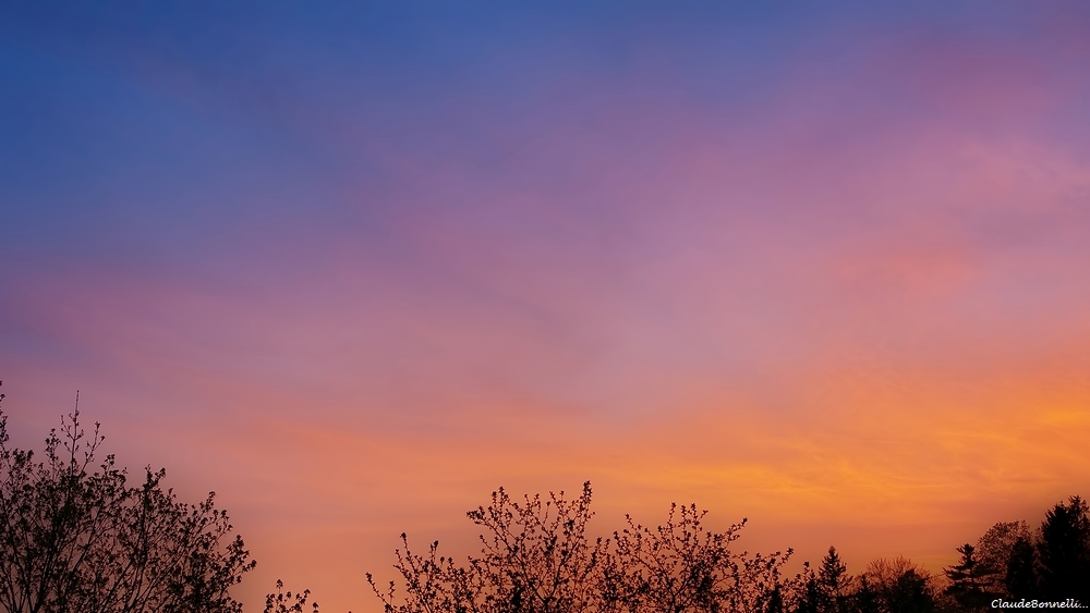 1--2928-1_filtered.jpg.0c7637b2b63ad8d89b3e477287c0ebdc.jpg