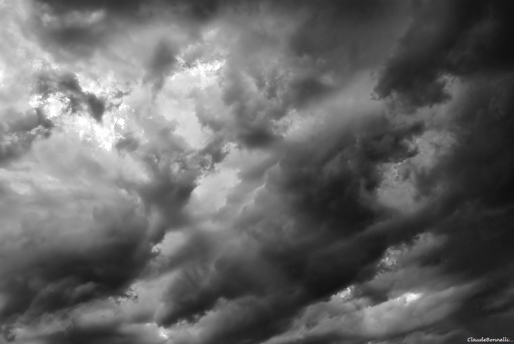 1--6063-2_filtered.jpg.5a768aa861f8b034a5ba3c712a4a2a64.jpg
