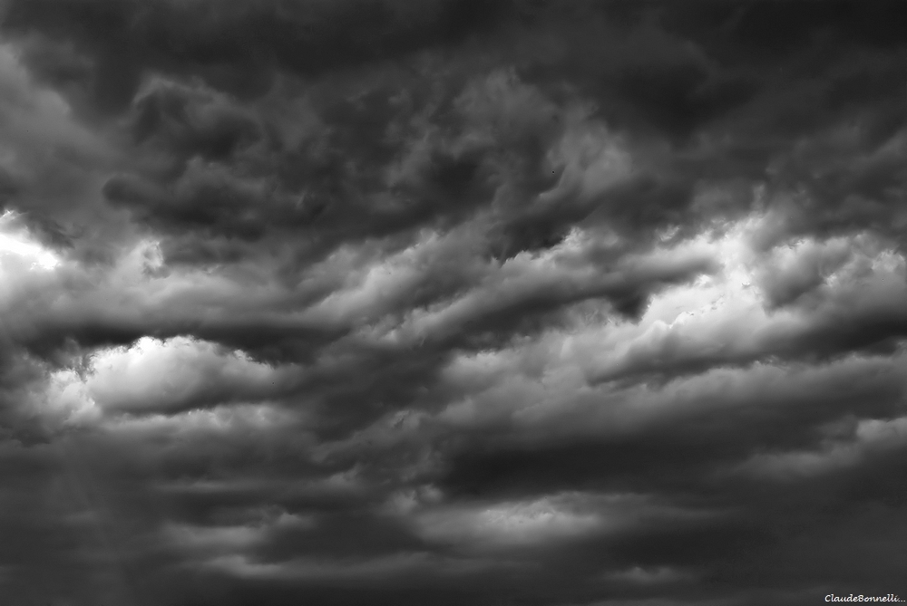 1--6073-1_filtered.jpg.c0cbb5288911e0a8a4a2696484d4c700.jpg