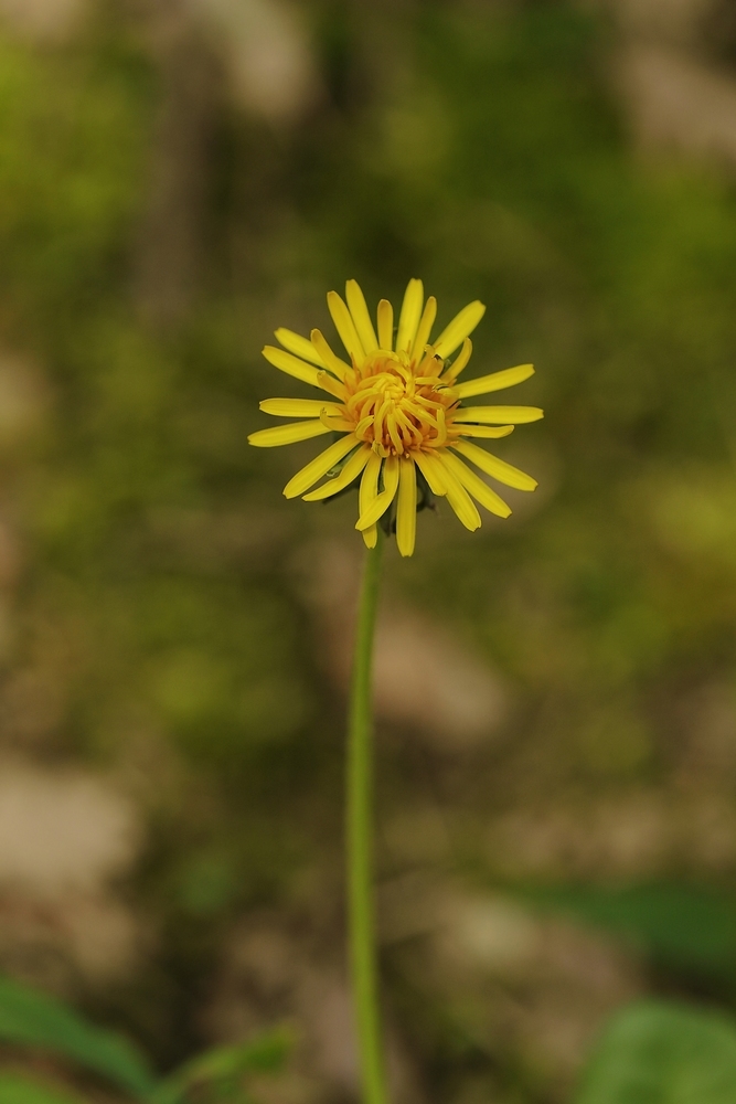 2G6A6305.JPG