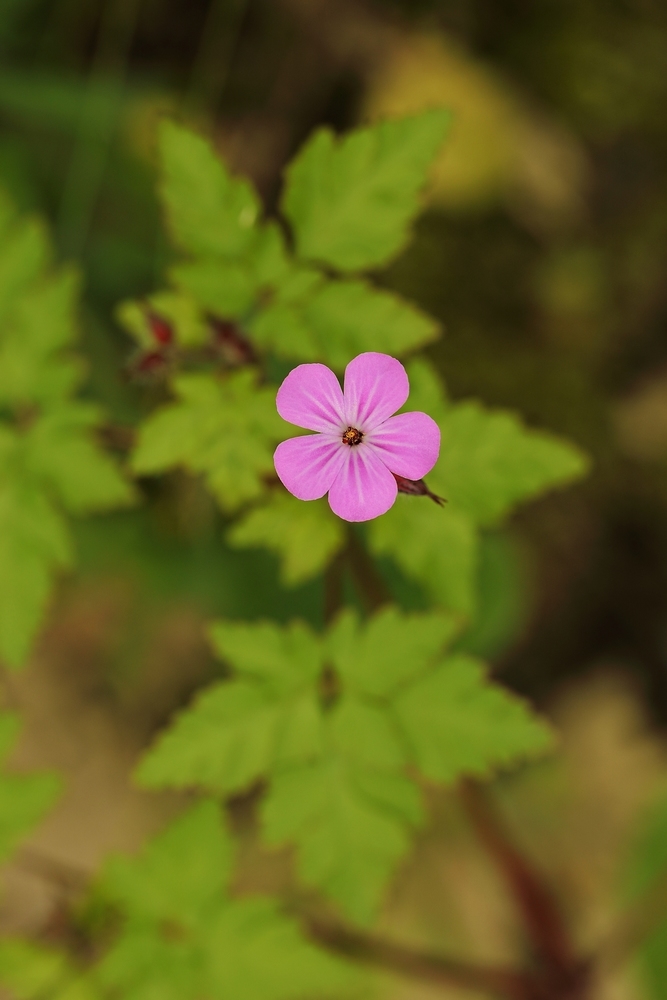 2G6A6306.JPG
